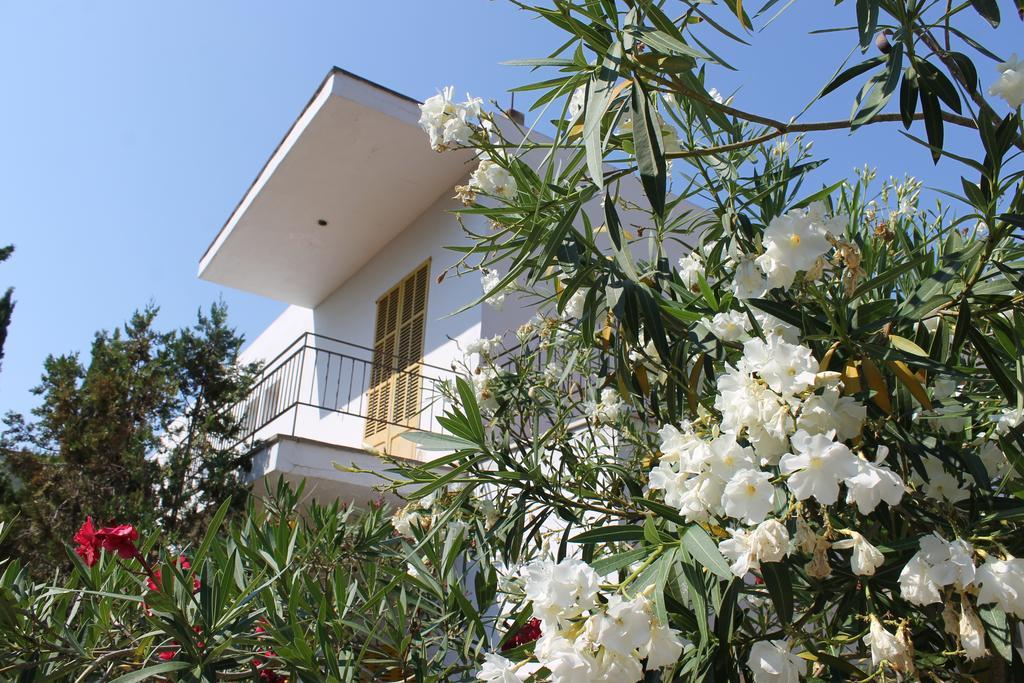 Hostal Catalina Vera ปูแอร์โต เด อันดรัตซ์ ภายนอก รูปภาพ